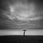 Nathan Wirth Photography