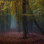 Janek Sedlar Photography