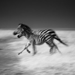 Laurent Baheux Photography